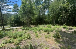 Lot 56 Nathaniels Way, Blairsville, GA 30512