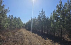 0 Chestnut Rd, Slocomb, AL 36375