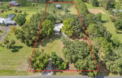2809 SW COUNTY ROAD 307A, TRENTON, FL 32693