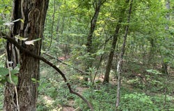 Lots 7 & 8 County Road 206, Alton, MO 65606