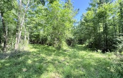 Jackson Liberty Drive, Smithdale, MS 39664