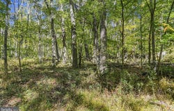 .94 ACRES MOSSER, MCHENRY, MD 21541