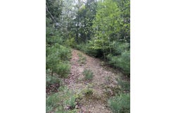 5 Bog Brook Loop, West Paris, ME 04289