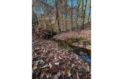 TBD (Lot 59) County Road 1060, Center, TX 75935