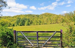 Land Off Ransom Road, Clyde, NC 28721