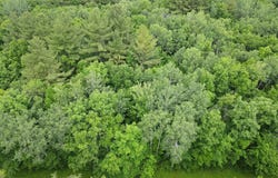 Wilderness Retreat lot: 5, Pine City, MN 55063