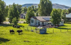 351 N 3rd Street, Gunnison, CO 81230