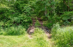 Tbd Crocketts Cove Rd, Wytheville, VA 24382