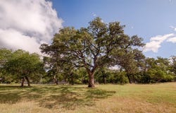 Lot 23 Goose Landing Way, Harper, TX 78631
