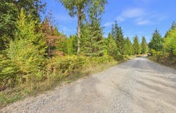 3099 Bear Creek Rd, Kingston, ID 83839