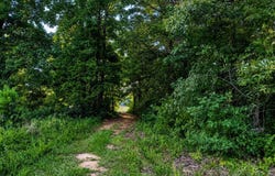 River Pointe Drive lot: 19, Cedar Bluff, AL 35959