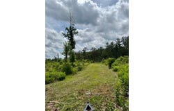00 Dewitt Lane, Other, LA 70427