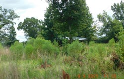 000 Ward Loop, Columbia, MS 39429