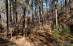 4+/- AC Lot 1 Skyline Road unit: 1, Chester, SC 29706