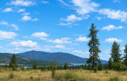 7 BALLARD Ave, KETTLE FALLS, WA 99141