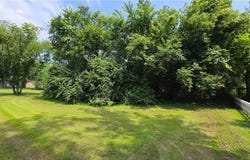 Tbd Bluff Street, Clearwater, MN 55320