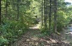 864 Stonegate Way, Townsend, TN 37882