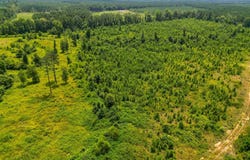 Old Warren Road, Monticello, AR 71655