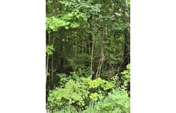V/L 00 N 9 Road, Mesick, MI 49668