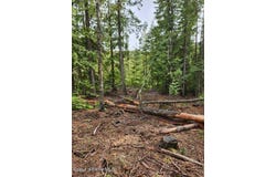 Nka Middle Fork Santa Creek, St. Maries, ID 83861