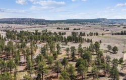 2360 Charlford Lane, Sedalia, CO 80135