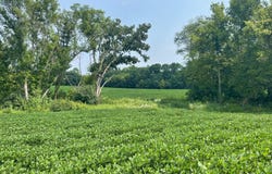 Dodd Road, Kilkenny, MN 56057