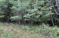 25-6B Emery Corner Road, Limerick, ME 04048