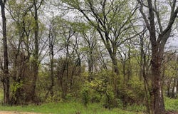 246 4th Street, Cooper, TX 75432