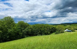 6008  Raders Valley Road, Williamsburg, WV 24991