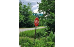 5165 Snowridge Trail, Elmira, MI 49730-8226
