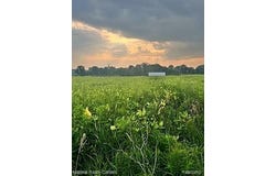 Vogt Road, Conway Twp, MI 48836