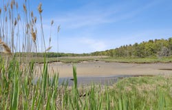 16 Marsh View Avenue, Kennebunk, ME 04043