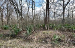 000 Lake Irwin Road, Oak Ridge, LA 71264