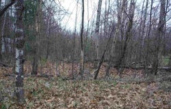 Indian Oaks Lot 26, Prudenville, MI 48651