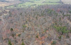 0 Levita Township Road, Clarkson, KY 42726