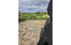 70 None, Carta Valley, TX 78880