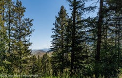 940 SNOW KING Drive, Jackson, WY 83001