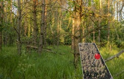 Lot 5 E Arthur Road, Rothbury, MI 49452