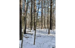 Lot 80-1 Currier Road, Candia, NH 03034