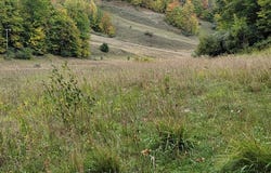 Lot A N Crossover Drive, Bellaire, MI 49615