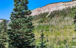 251 Hermosa View Drive, Durango, CO 81301