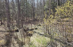 Jacobs Ladder Rd, Becket, MA 01223