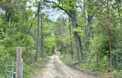 N Townline Road, Lewiston, MI 49756