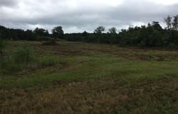 Highway 80 Highway, Forest, MS 39074