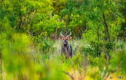 3021 FM 1689, Comanche, TX 76442