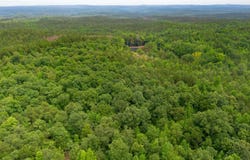 VINEYARD ROAD lot: 1, 2, 4, 5, 6, FRUITHURST, AL 36262