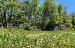 Tbd FM 979  (+/-10.11 acres), Franklin, TX 77856