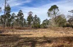 044 Hall, Thomasville, GA 31757