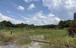 +/-3 Ac Cox Avenue, Stevenson, AL 35772
