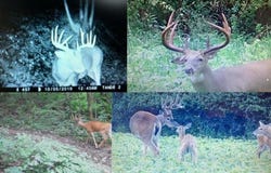 N7534 Skoy Coulee Rd, Mindoro, WI 54644